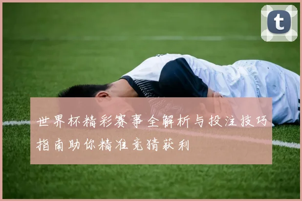 世界杯精彩赛事全解析与投注技巧指南助你精准竞猜获利