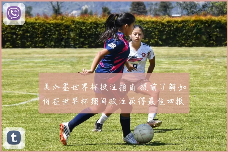 美加墨世界杯投注指南 提前了解如何在世界杯期间投注获得最佳回报