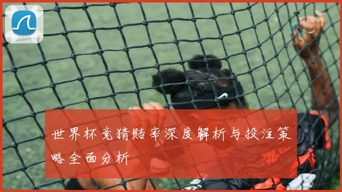 世界杯竞猜赔率深度解析与投注策略全面分析