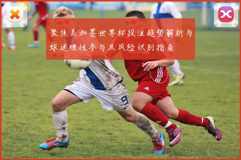 聚焦美加墨世界杯投注趋势解析与球迷理性参与及风险识别指南