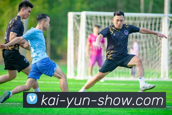 开云平台展示图