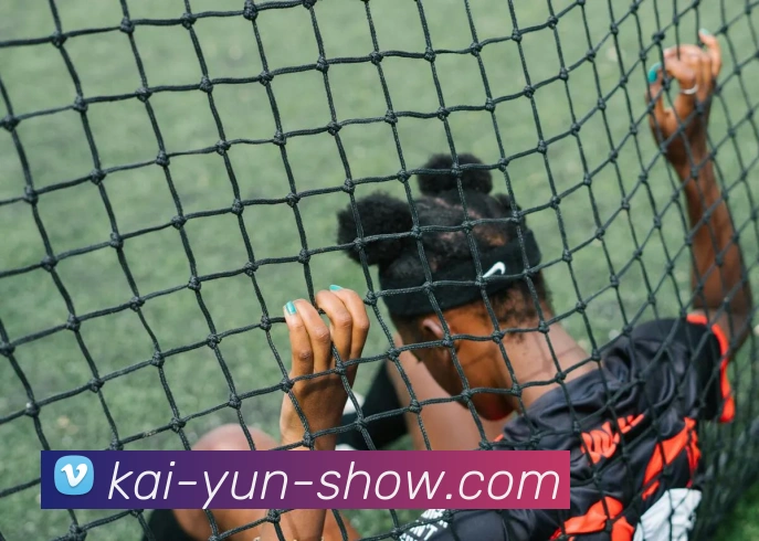 开云官网全站App